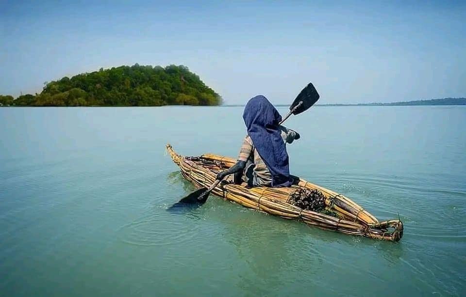 Lake Tana Shore