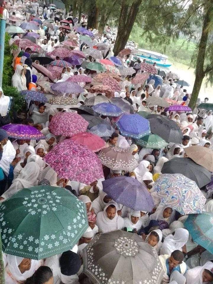 Vast Pilgrims Procession with Parasols on Forest Trail